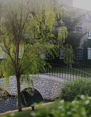 Get Top Notch Perfect mode Solution good